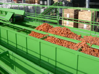 technologinio rūšiavimo linijos, gryninimas, augalų pakuočių parinkimas Lenkijoje