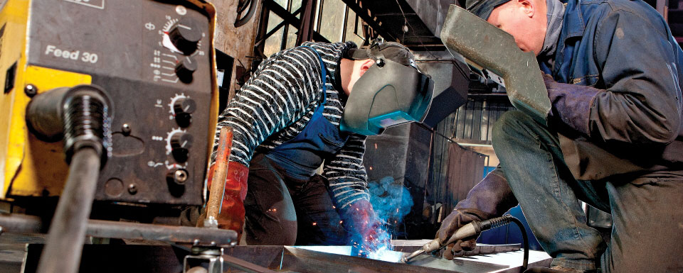 technologinio rūšiavimo linijos, gryninimas, augalų pakuočių parinkimas Lenkijoje